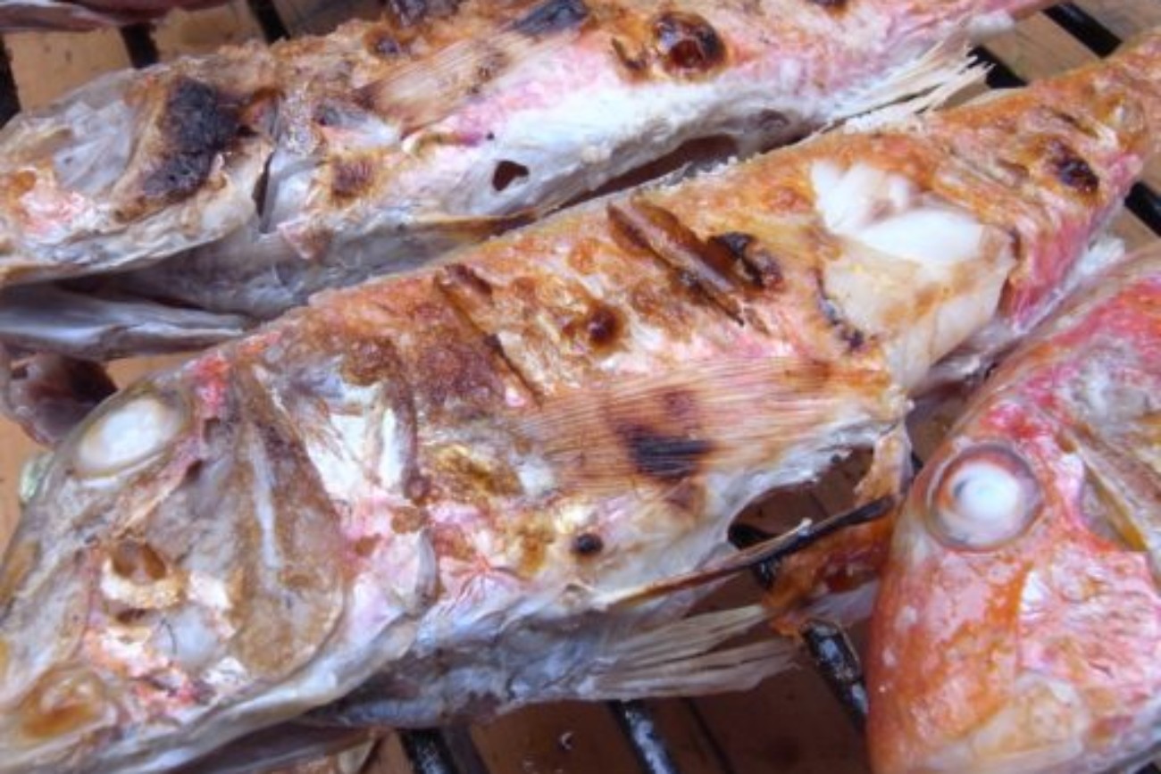 Grilled Goatfish at Konoba Maris in Trstenik