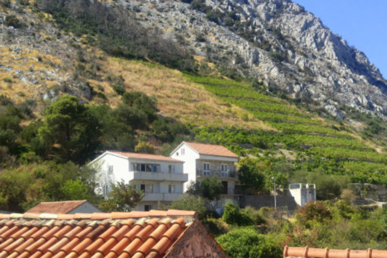 Vineyards on Trstenik Croatia Hillside