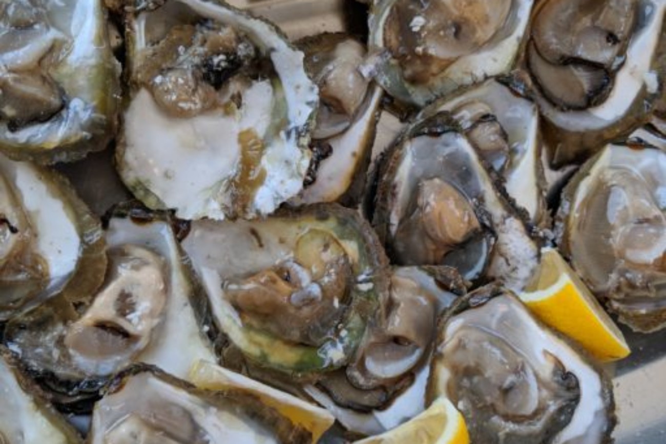 Maker:0x4c,Date:2017-10-25,Ver:4,Lens:Kan03,Act:Lar01,E-Y